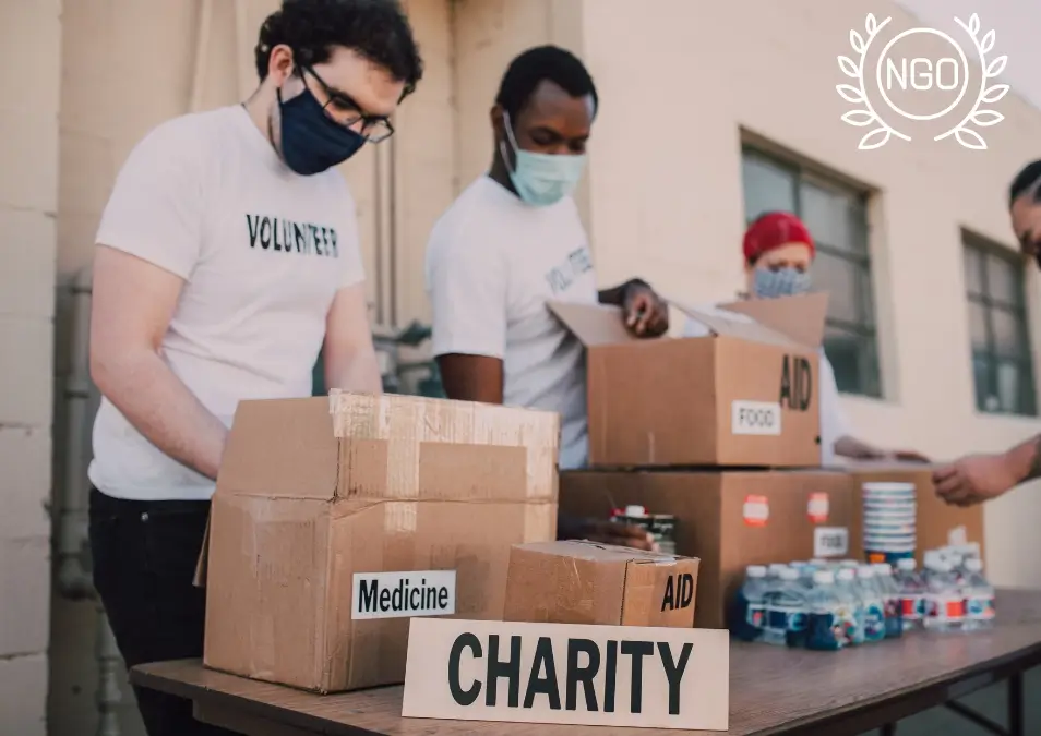 NGO & Social Services